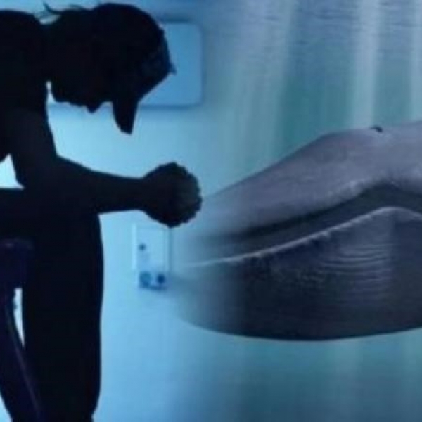 Blu Whale